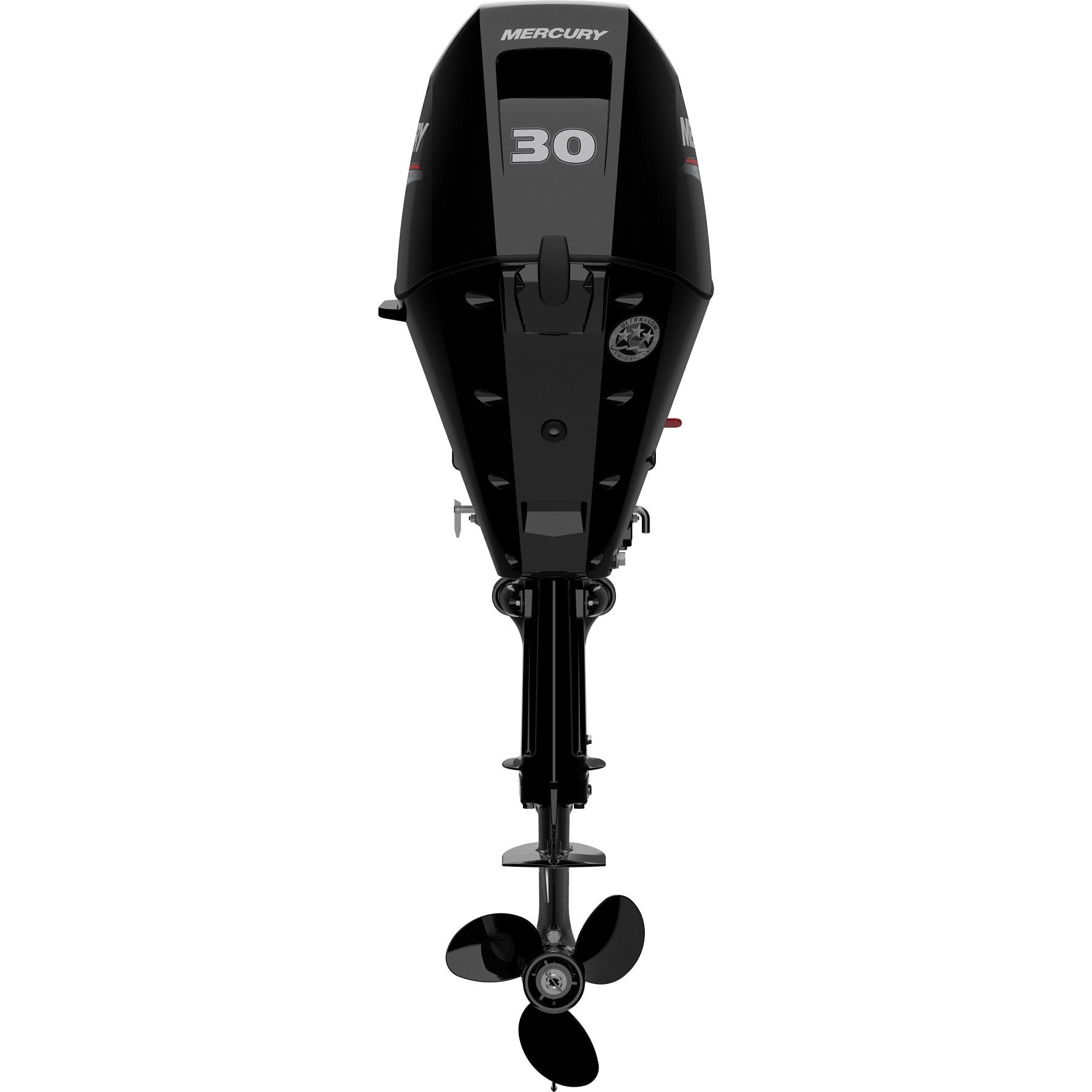 FourStroke 30 EFI Mercury Outboard