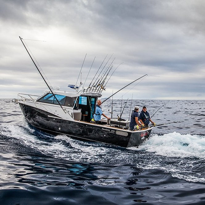 Mercury® Diesel 4.2L (270-350hp)